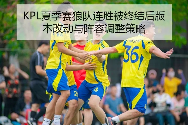 KPL夏季赛狼队连胜被终结后版本改动与阵容调整策略